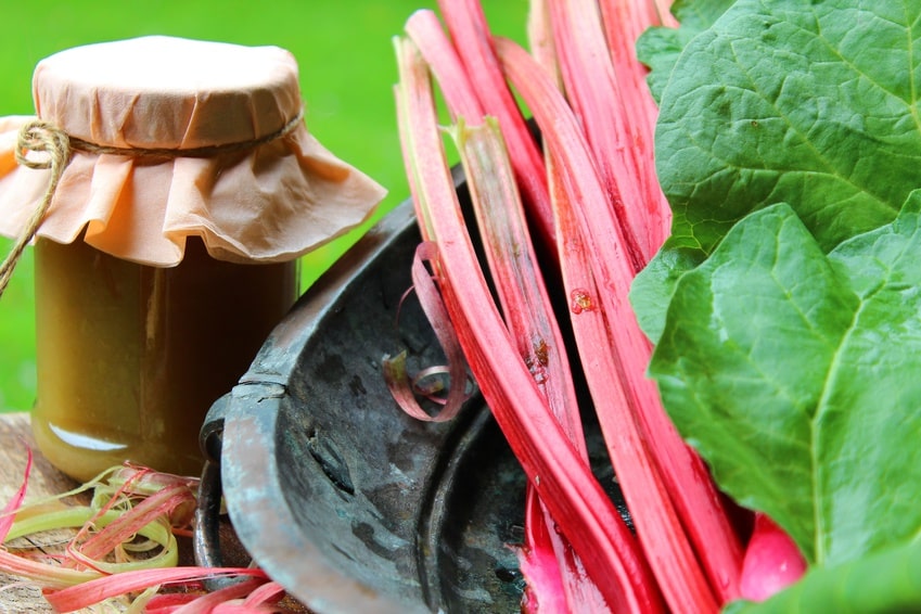 Rezepte für Brotaufstriche ohne Zucker ♥ Ernährung ohne Zucker