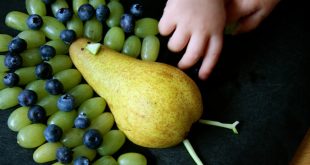 Rezept für einen Früchte-Pfau